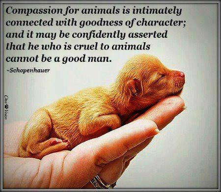 compassion