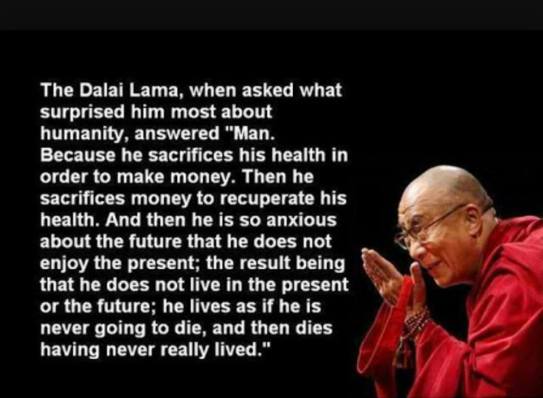 D lama life